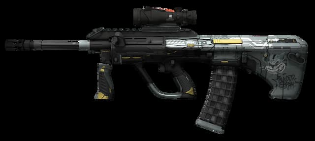 StatTrak™ AUG 