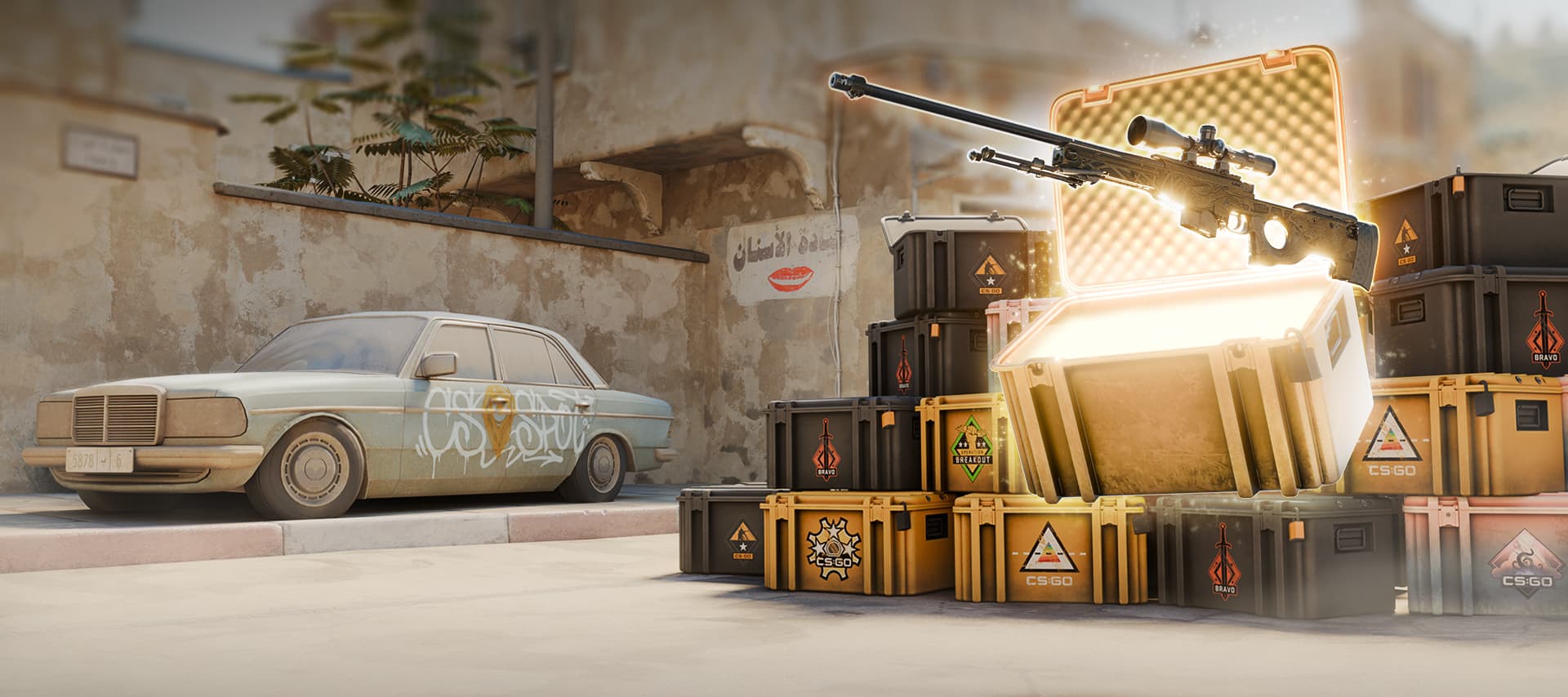 CS2 Case Library