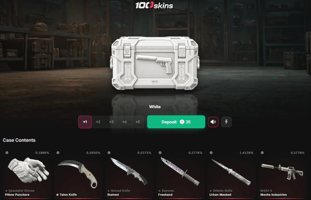 InsideCase100.png