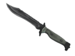 Bowie Knife