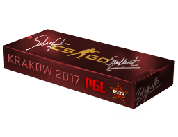 Сувенирный набор PGL Krakow 2017 Cache