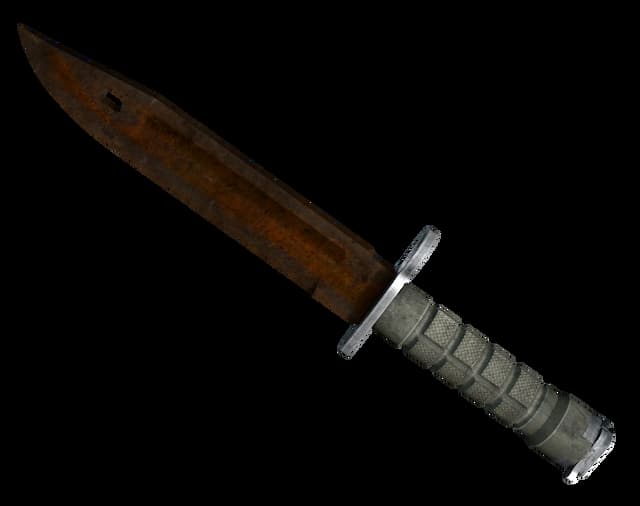 ★ StatTrak™ Bayonet