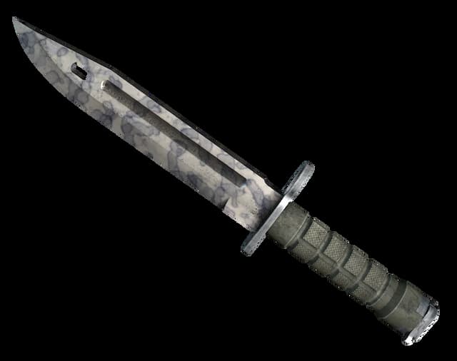 ★ StatTrak™ Bayonet