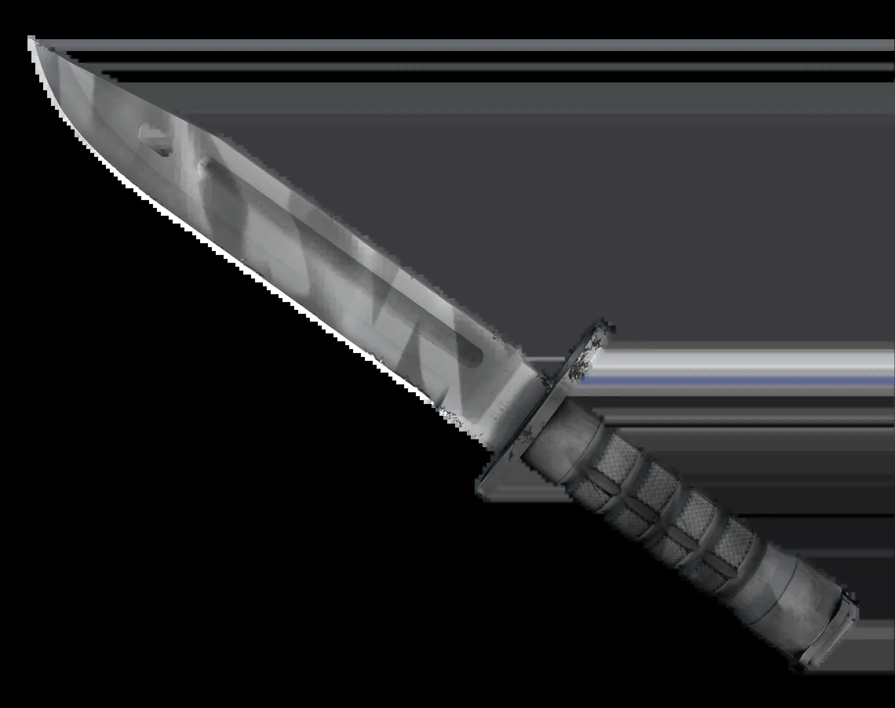 ★ StatTrak™ Bayonet