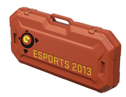 Кейс eSports 2013