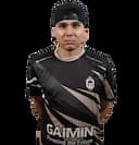 HEN1