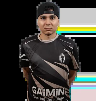 HEN1