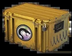 Recoil Case
