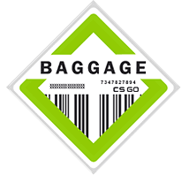 Baggage Collection