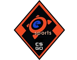Kolekcja e-sportowa 2013