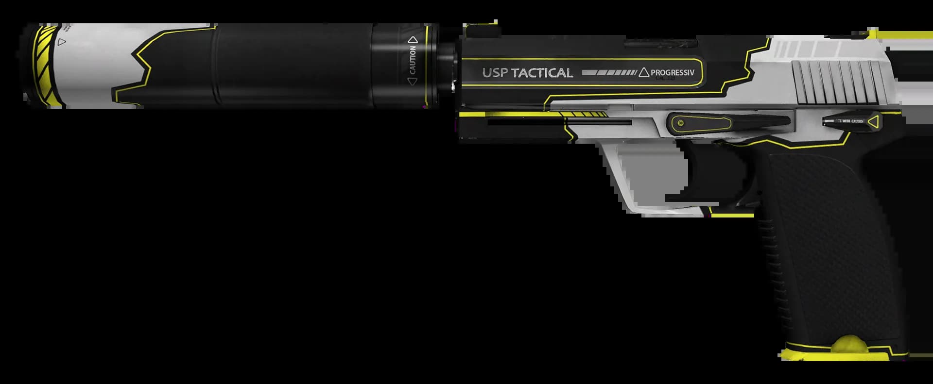 StatTrak™ USP-S