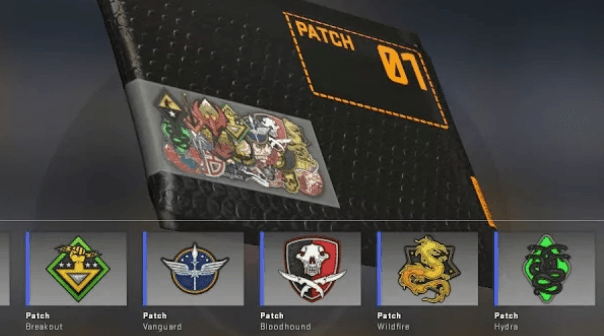 Agent Patches in CS2: What They Are and How to Use Them Properly